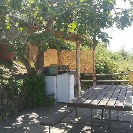 Fontevecchia *